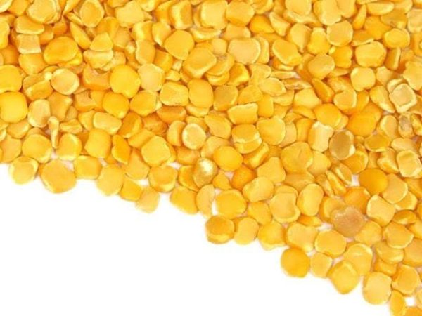 Lentils-Kheshari Dal - Image 2
